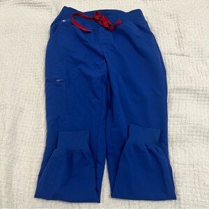 FIGS Zamora Joggers Winning Blue XS Petite Scrub Pants EUC